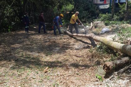 383833975_3525928060957016_5805290535627518446_n