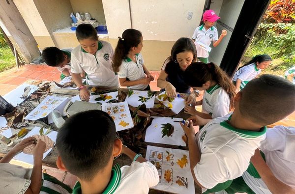 456025847_3750865961796557_3066247078574502018_n