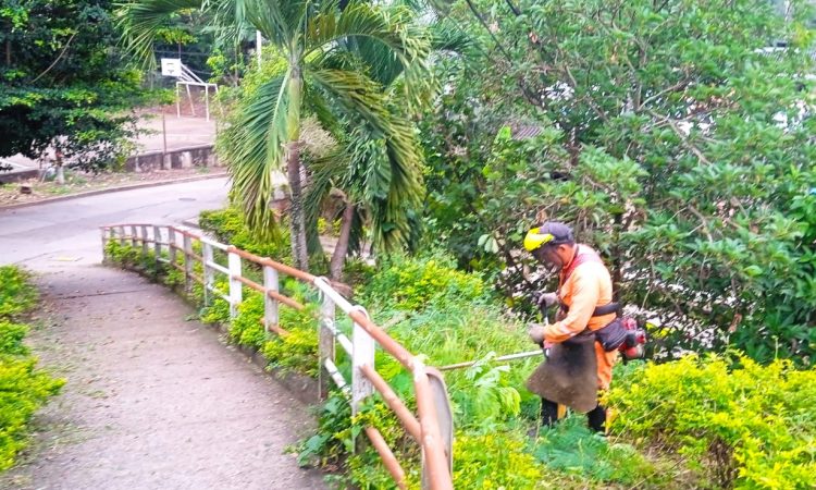 480585494_3908028322746986_8918433178845259756_n