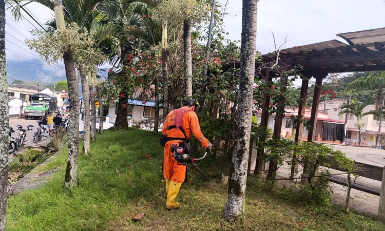 480791169_3907414552808363_5363924008065247984_n