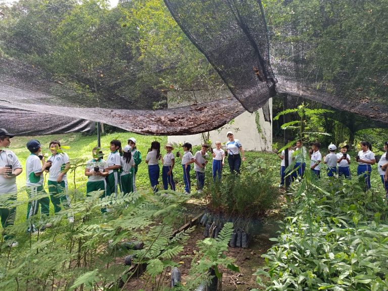 504490123_4013814125501738_1481358293137276342_n