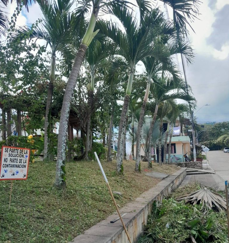 515106387_4046449168904900_7238094144325864302_n