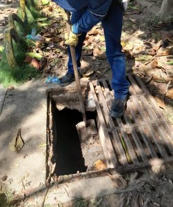 536728723_4088526324697184_9039236329938594939_n