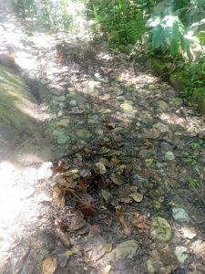 545535329_4107559489460534_4588031163117458530_n - copia