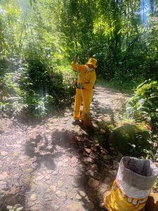 545671732_4107559579460525_7817085937355930067_n - copia