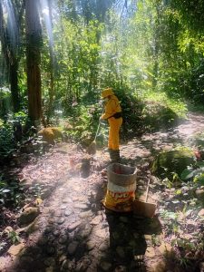 545891078_4107559576127192_7405243601330270046_n - copia