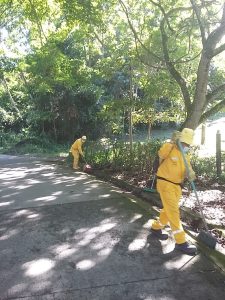 546113476_4107581016125048_3736650634313967319_n