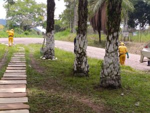 547470378_4109993172550499_8047154606334817188_n