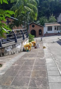 549522932_4115853458631137_610410230369413533_n