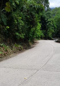 558000718_4135821973300952_250356464119852541_n