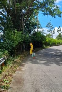 558921553_4135821826634300_8138808415490682977_n