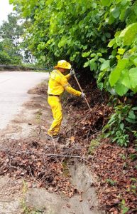 559362399_4135822446634238_8355848081745464905_n