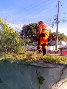 600973217_4205486529667829_6120616602222789577_n