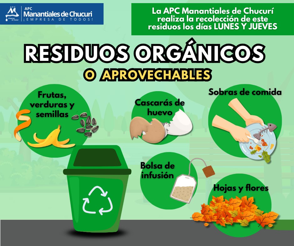 616805687_4233996676816814_1507634968879731348_n