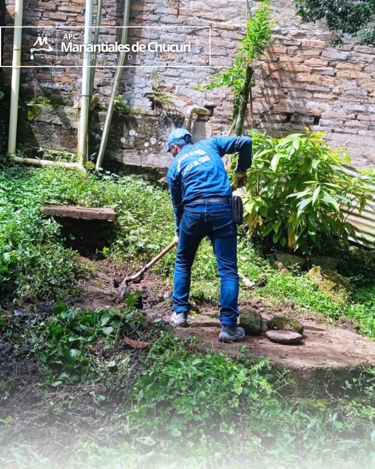 617697945_4240535779496237_891184439701659439_n