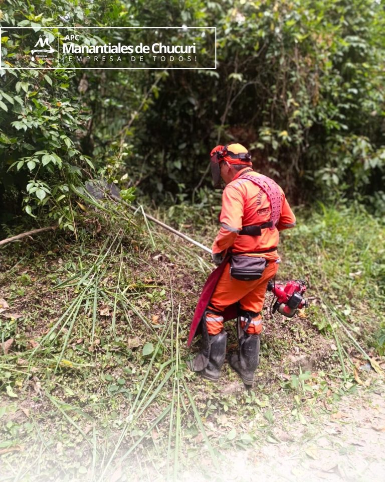 622264668_4248886478661167_7773408037418190081_n