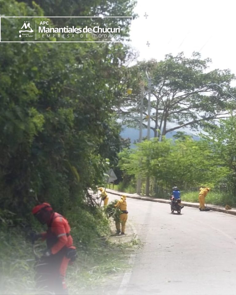 642257677_4277107529172395_6997939312700002896_n