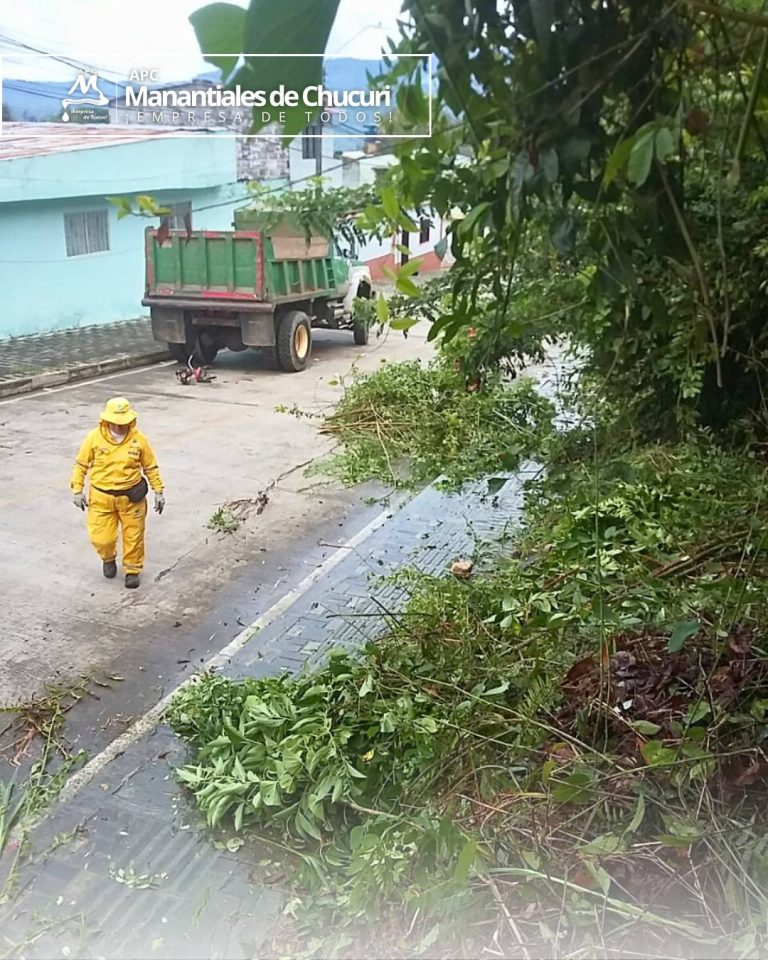 650213754_4290302054519609_5776083718759437066_n